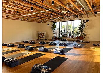 Yess Yoga Minneapolis Yoga Studios image 1
