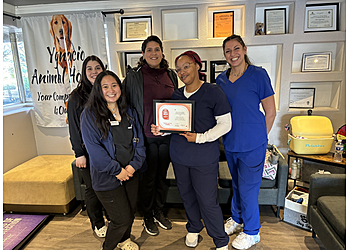 Walnut Creek Veterinary Clinics Ygnacio Animal Hospital