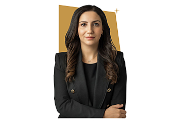 Sugar Land Immigration Lawyers Yildiz Law Firm, PLLC