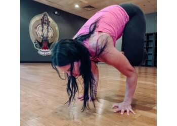 Yoga Flow - Pittsburgh, PA Yoga Studios - Performance Image