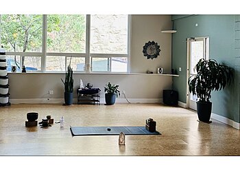 Boise City Yoga Studios Yoga Tree of Boise