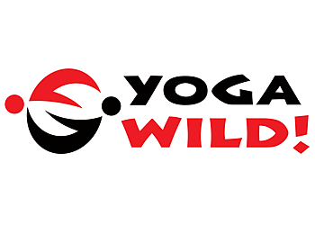 Oceanside Yoga Studios Yoga Wild