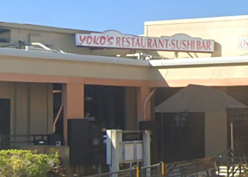 Tampa Japanese Restaurants Yoko's Japanese Restaurant