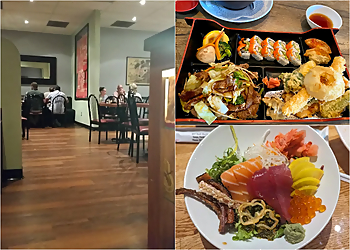 Tampa Japanese Restaurants Yoko's Japanese Restaurant