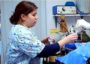 Yonkers Veterinary Clinics Yonkers Animal Hospital