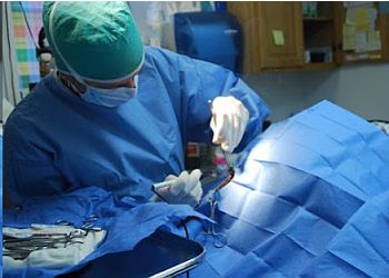 Yonkers Veterinary Clinics Yonkers Animal Hospital