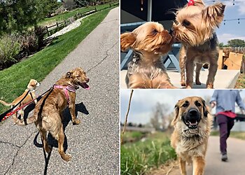 Aurora Dog Walkers Your Best Friend's Friend