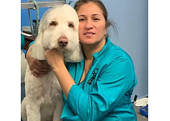 Yonkers Pet Grooming Your Pet’s Paradise