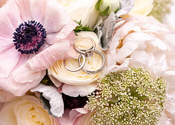 Tallahassee Jewelry Zales