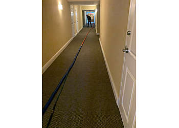 Coral Springs Carpet Cleaners Zebedee Group Inc.