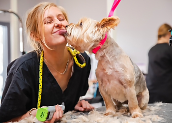 Charleston Pet Grooming Zen Dog Spa