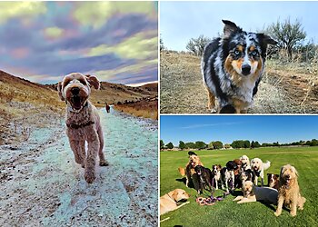 Boise City Dog Walkers Zen Pet Care Services