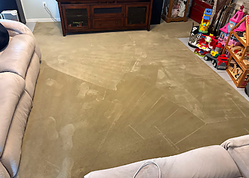 Zerorez - St Louis, MO Carpet Cleaners - Project Image