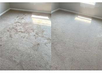 Zerorez Corpus Christi - Corpus Christi, TX Carpet Cleaners - Service Highlights