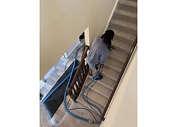 Indianapolis Carpet Cleaners Zerorez Indianapolis