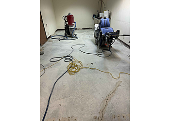 Glendale Carpet Cleaners Zest Carpet Cleaning