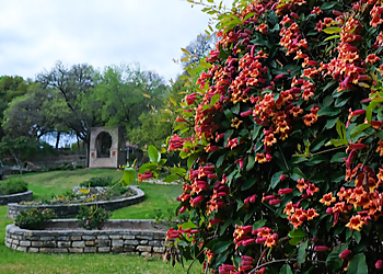 Austin Places To See Zilker Botanical Garden