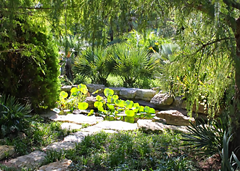 Austin Places To See Zilker Botanical Garden