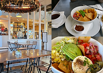 Corona Vegetarian Restaurants Zinc Cafe