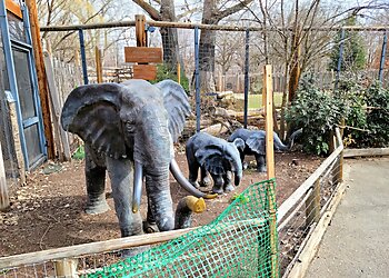 Boise City Places To See Zoo Boise