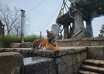 Knoxville Places To See Zoo Knoxville