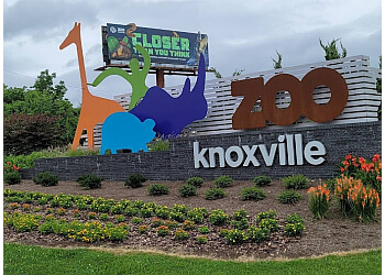 Zoo Knoxville Knoxville Places To See