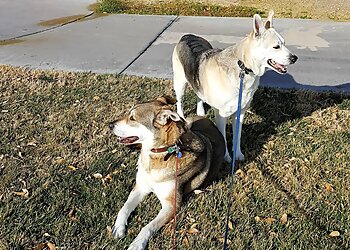 North Las Vegas Dog Walkers Zookeepers Pet Sitting, LLC