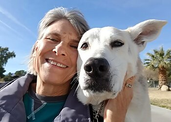 Zookeepers Pet Sitting, LLC North Las Vegas Dog Walkers image 1