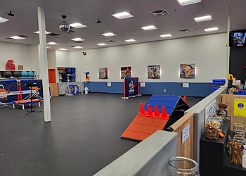 Zoom Room Chandler Zoom Room Chandler - Chandler, AZ Dog Training - Business Interior Image