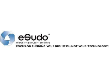 eSudo Technology Solutions, Inc.