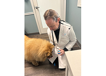 Frisco Veterinary Clinics easyvet Veterinarian Frisco