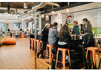 Seattle Web Designers efelle creative