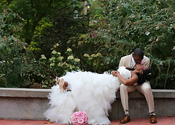 Norfolk Wedding Photographers f/Scott Photography