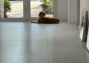 Pompano Beach Commercial Cleaning Services iClean Residential and Commercial Cleaning