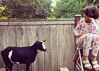 Kent Occupational Therapists kidsView Occupational Therapy