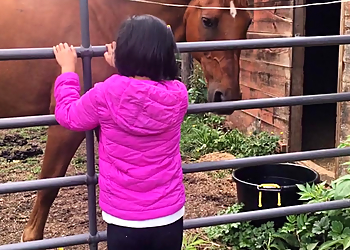 Kent Occupational Therapists kidsView Occupational Therapy