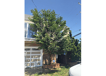 San Francisco Lawn Care Services sfgardening.com