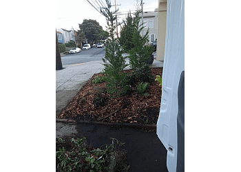 sfgardening.com San Francisco Lawn Care Services