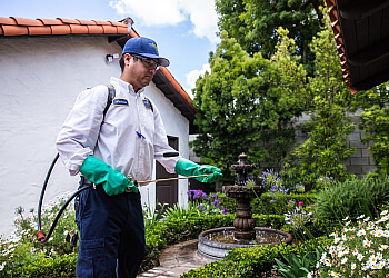 Anaheim Pest Control Companies The Bugman