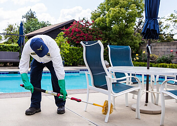 Anaheim Pest Control Companies The Bugman