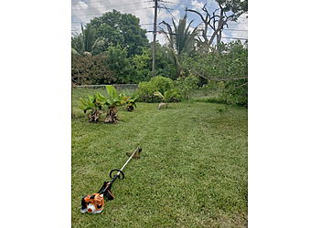 Hollywood Lawn Care Services uGROWiMOW Complete Lawn Service