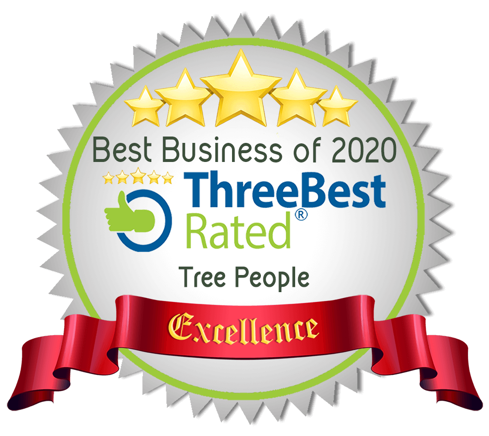 Best Tree services in Coquitlam